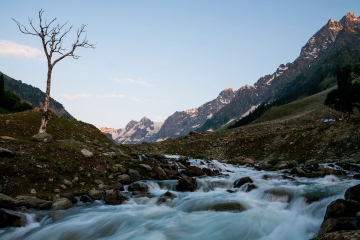 Landscape image of Sonmarg, Kashmir, with tree and river