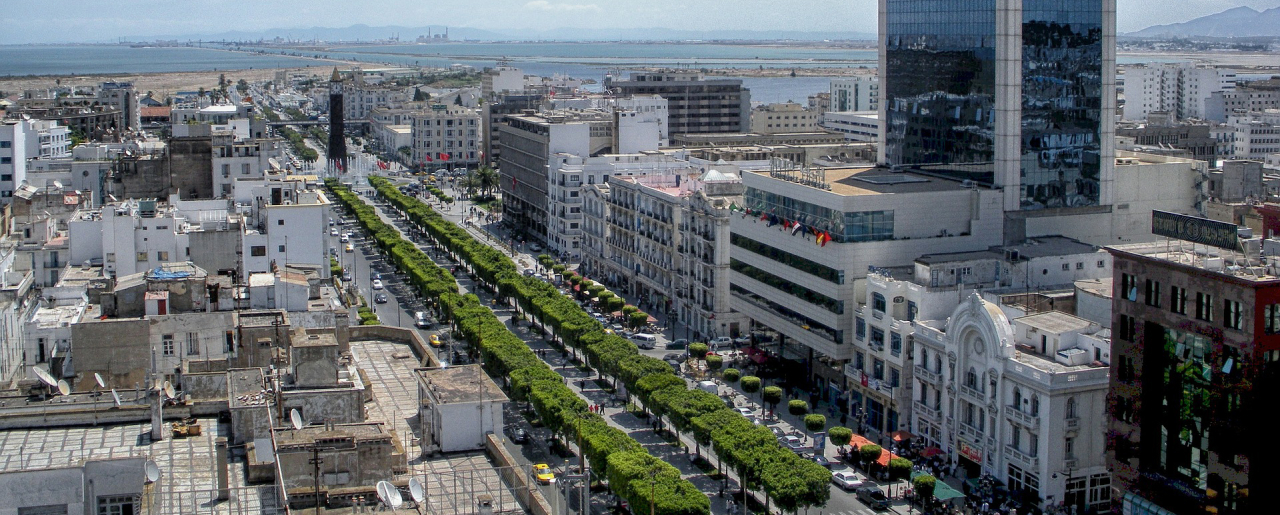 Aerial view of Avenue Habib Bourguiba,Tunis