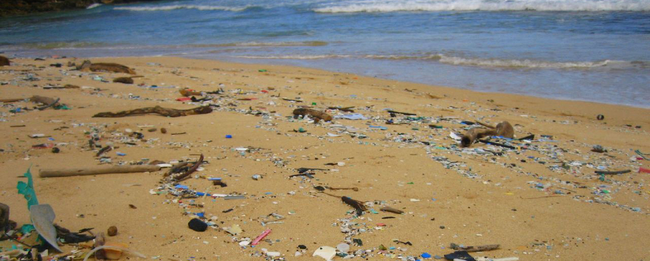 Plastic litter on a sandy beach