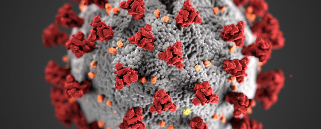An image of a virus