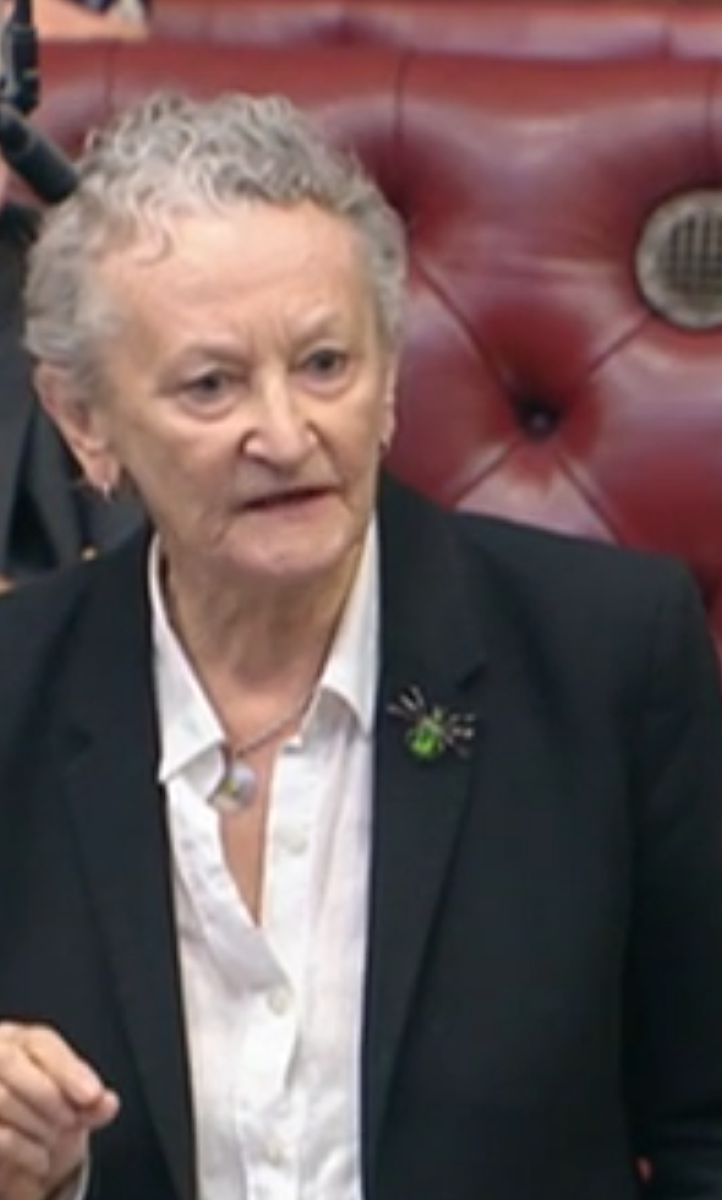Jenny Jones House of Lords speaking
