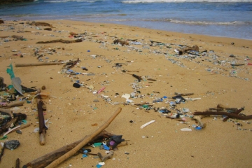 Plastic litter on a sandy beach